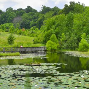 Gormannaturecenterpanorama2 300x300