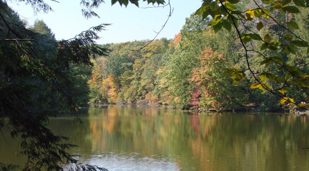 Lake Cohasset Mill Creek